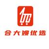 合大嫂优选食品店