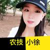 小徐聊植保