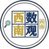数观西南