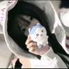 莫拉水