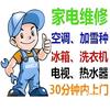 老婆哦兔子