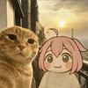 曹小姐的猫meme小剧场