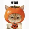 柿猫猫meme