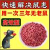老鼠药