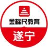 遂宁金标尺椰子