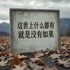 怀念666