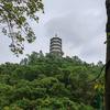 石菇凉