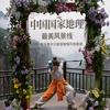 元宝铁定圆