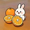 兔子桔橘🍊