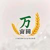 农村 大叔