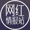 网红情报站