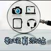 数码真测站