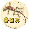 爱奇异