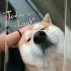 一只鸡蛋打死一头大象