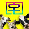 视频同款（专业搭建）