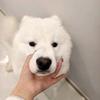 球球是个胆小鬼