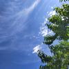 本姑娘的独处时光