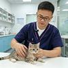 梁院长说猫事