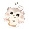 吐司猫猫🍞
