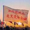 富在术数
