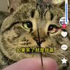 君姐江哥玩PS