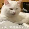 风起时