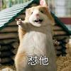 第四只蜗牛