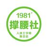 成都1981撑腰社人体工学椅集合店