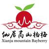 迪丽家仙居杨梅