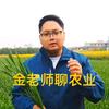 金老师聊农业（商都种业）