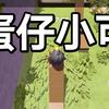 蛋仔小可