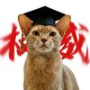 猫的社科笔记