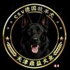 天津鼎益犬业-东德牧羊犬
