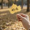 风不在回头