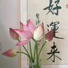 对你爱爱爱不完
