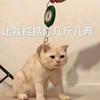 啊哈哈？