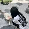 ꒰ঌ桉岚໒꒱🍡
