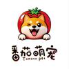 江油番茄萌宠土松唐唐