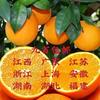 江西赣南脐橙