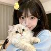 除了晚上都困