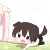 壹壹