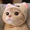 若枫君