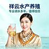 中际联盟～祥云老师
