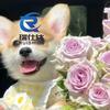 小李在桥架母线槽厂家（瑞仕达电气）