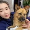 元宝是只田园犬