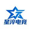 星淬电竞