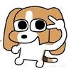懒得看