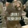 觅
