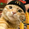 猫meme的麦当