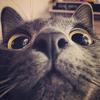 无上wushang